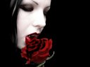 vampire social network member